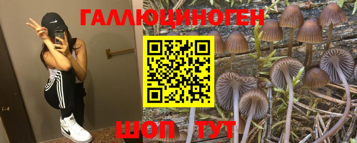 даркнет сайт  Псилоцибиновые грибы прущие грибы  Вход с VPN  Большой Камень 